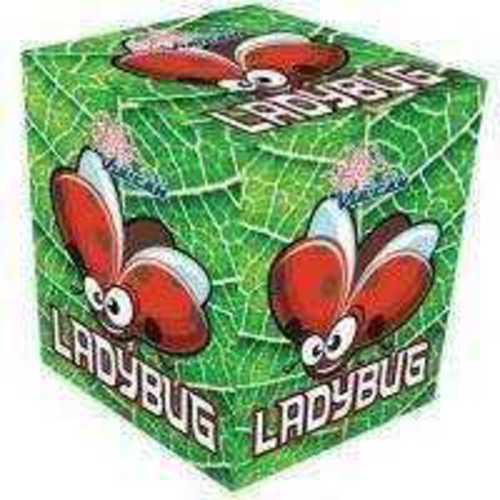 Ladybug (ONTARIO ONLY)