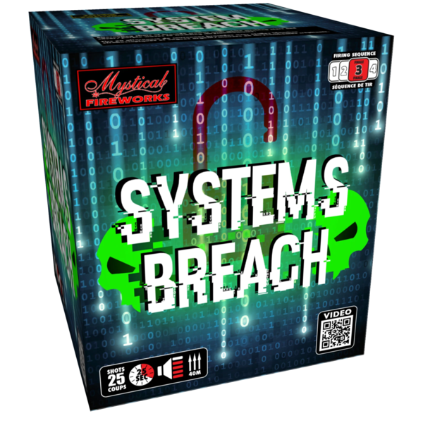 Systems Breach (ONTARIO ONLY)